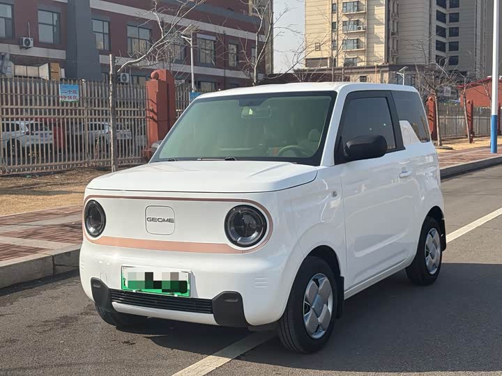 Фото 2 - Geely Galaxy Panda Mini