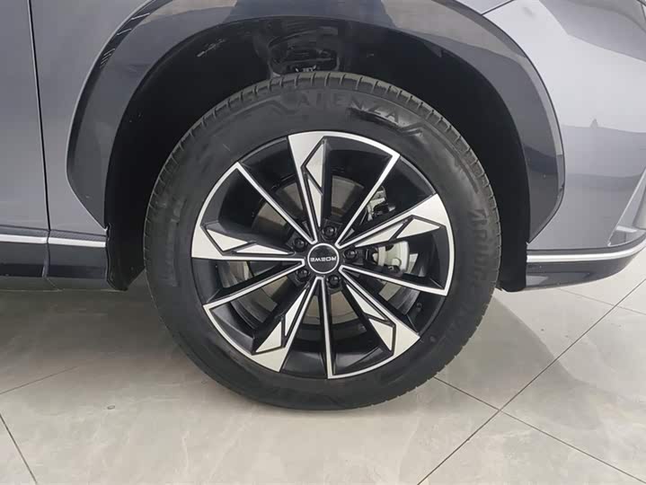 Фото 6 - Roewe RX5
