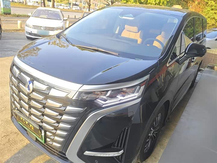 Фото 1 - Denza D9