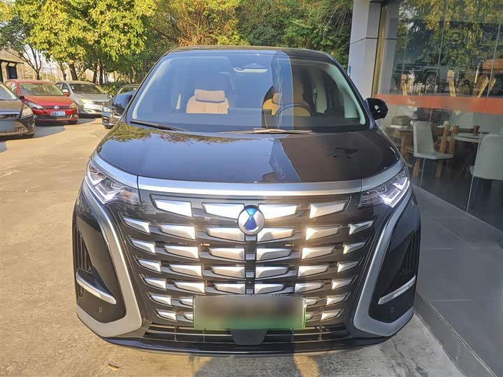 Фото 3 - Denza D9