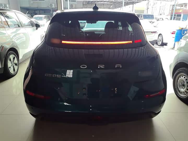 Фото 6 - Ora Good Cat (03)