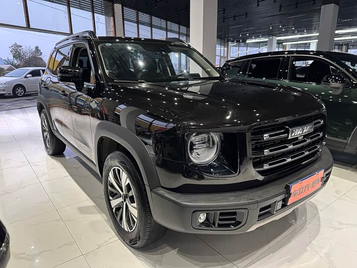 Фото 3 - Haval Dargo