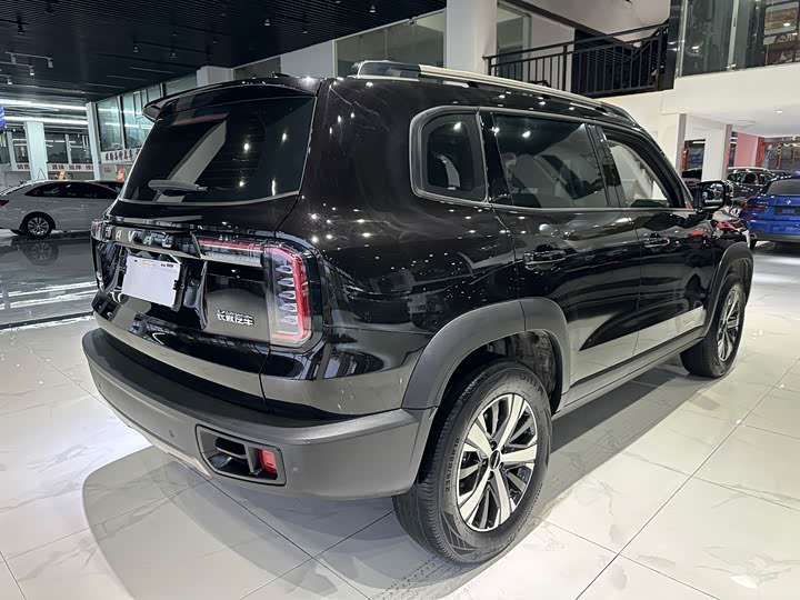 Фото 4 - Haval Dargo