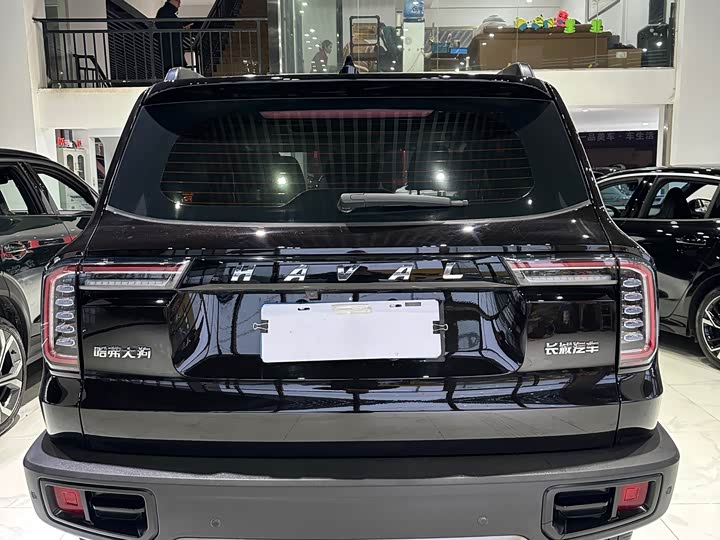 Фото 5 - Haval Dargo