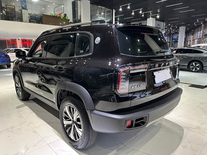 Фото 6 - Haval Dargo