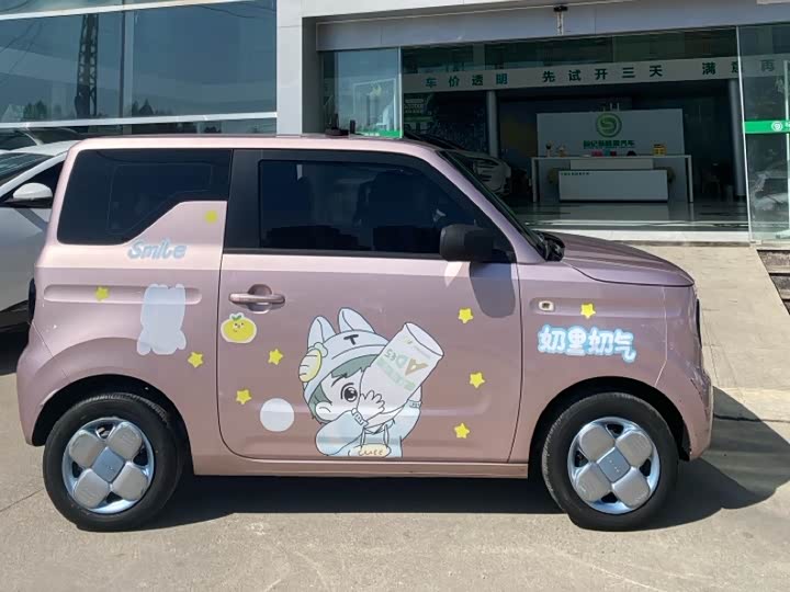 Фото 2 - Geely Galaxy Panda Mini