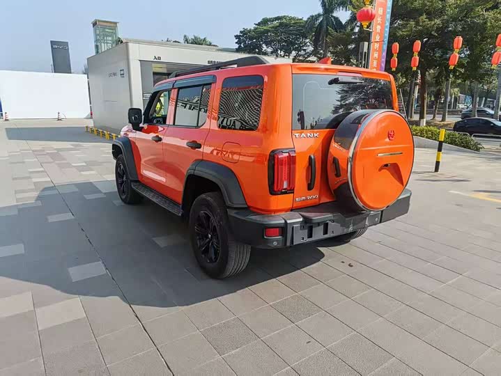 Фото 8 - Tank 300