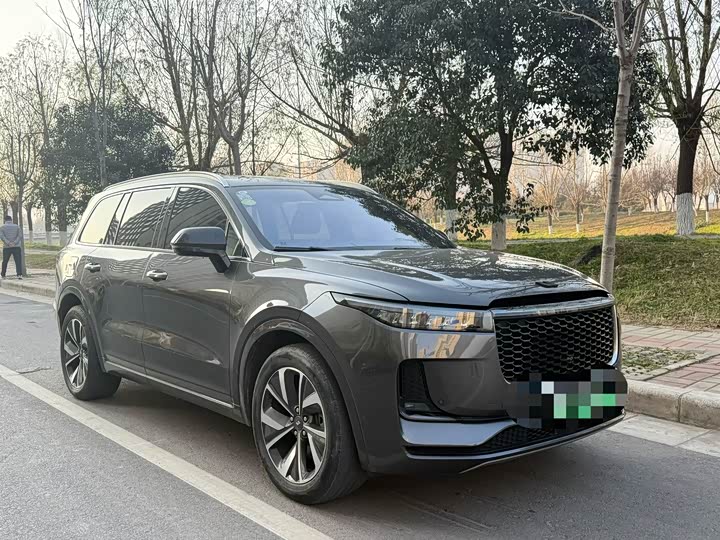 Фото 3 - LiXiang One