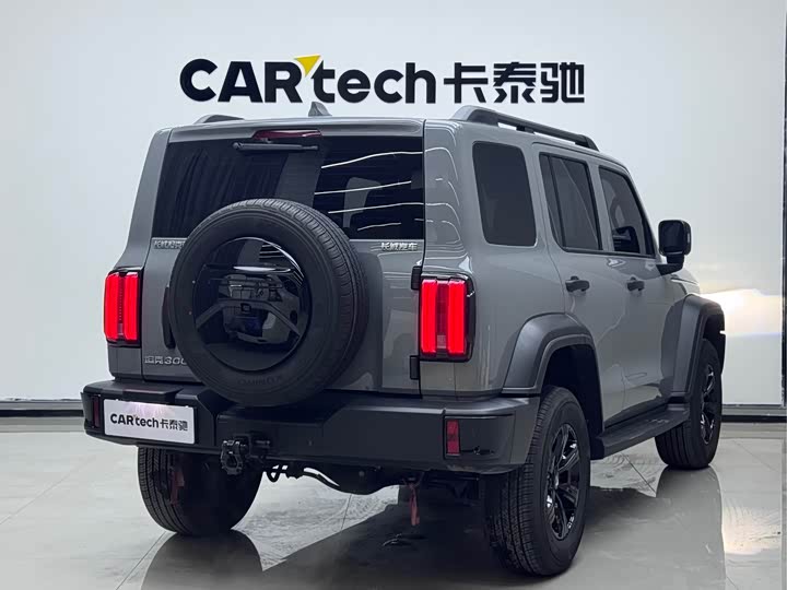 Фото 4 - Tank 300