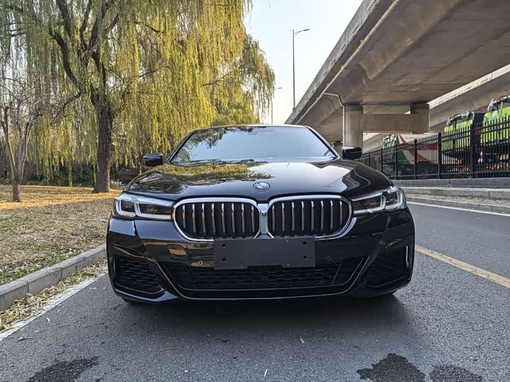 Фото 2 - BMW 5 Series Hybrid