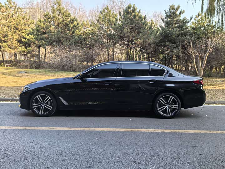 Фото 4 - BMW 5 Series Hybrid