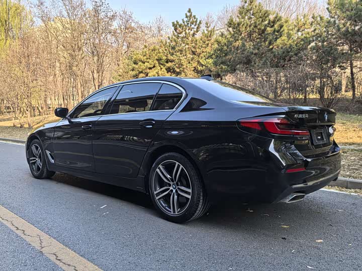 Фото 7 - BMW 5 Series Hybrid