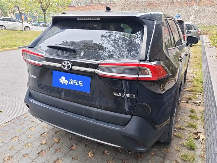 Фото 3 - Toyota Wildlander