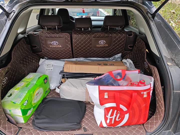 Фото 4 - Toyota Wildlander