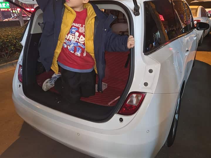 Фото 3 - Buick GL6