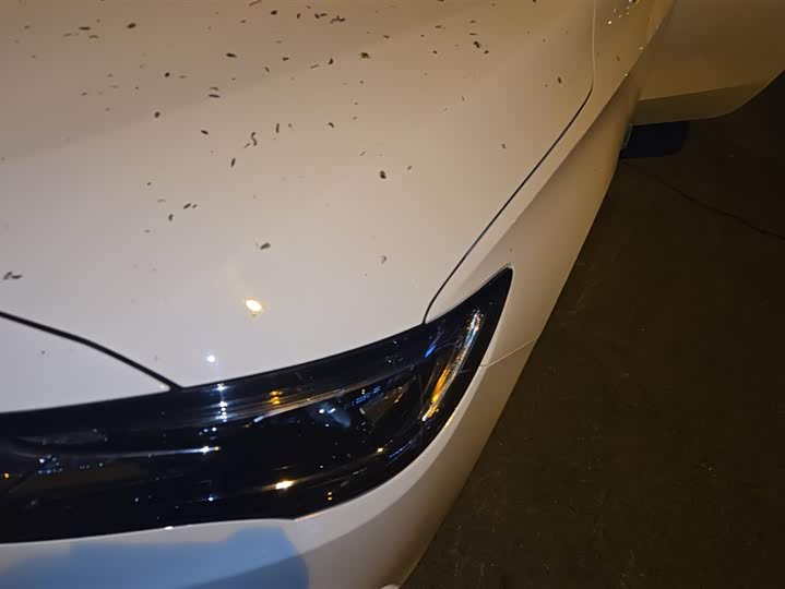 Фото 5 - Buick GL6