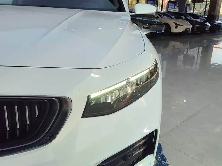 Фото 5 - Geely Preface