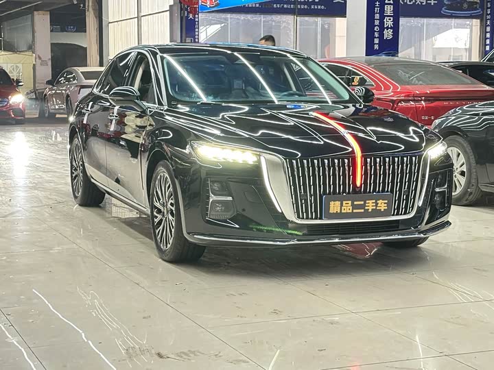 Фото 3 - Hongqi H5