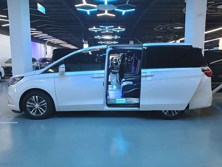 Фото 3 - Buick GL8 ES