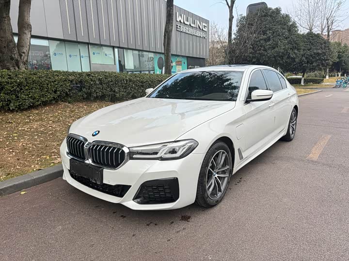 Фото 1 - BMW 5 Series Hybrid