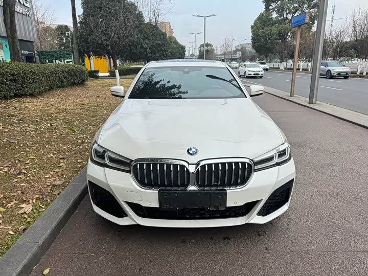 Фото 2 - BMW 5 Series Hybrid