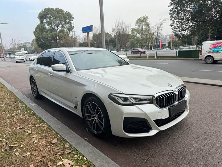 Фото 3 - BMW 5 Series Hybrid