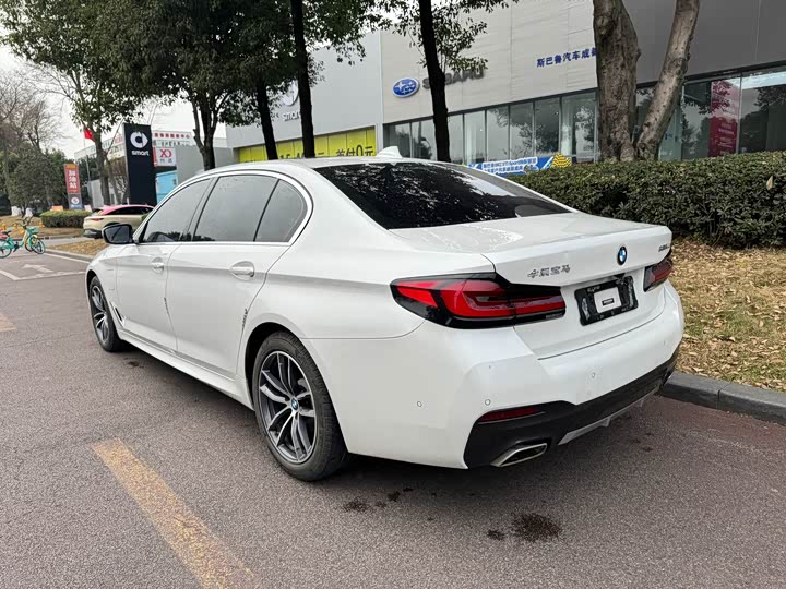 Фото 7 - BMW 5 Series Hybrid