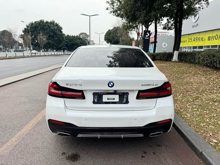 Фото 8 - BMW 5 Series Hybrid