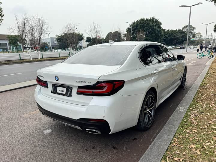 Фото 9 - BMW 5 Series Hybrid