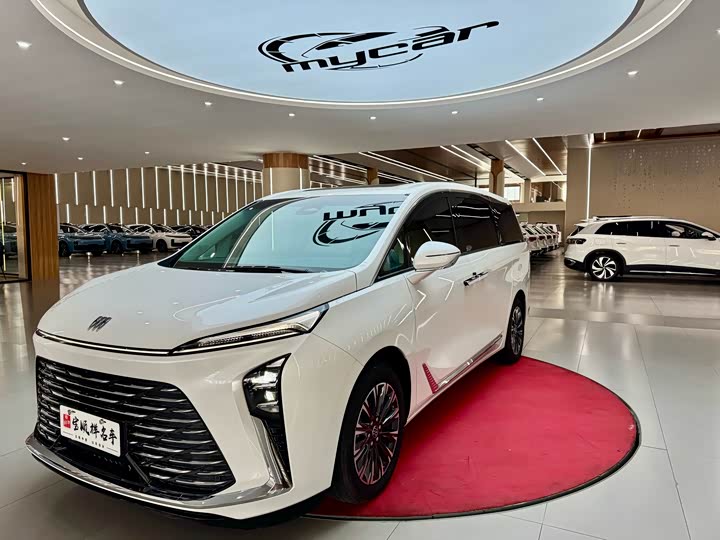 Фото 1 - Buick GL8 ES