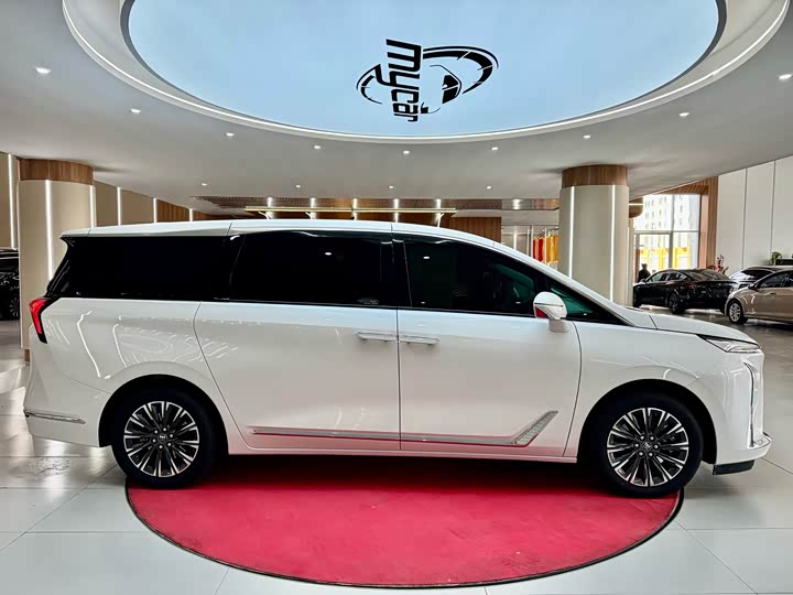 Фото 4 - Buick GL8 ES