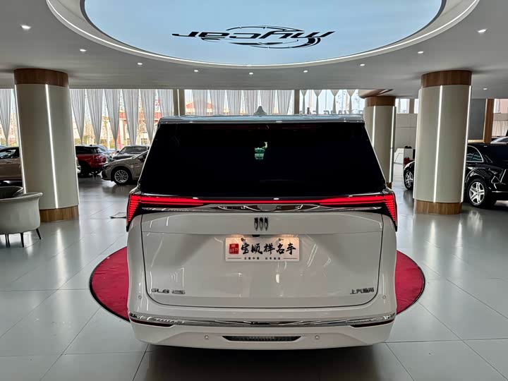 Фото 6 - Buick GL8 ES