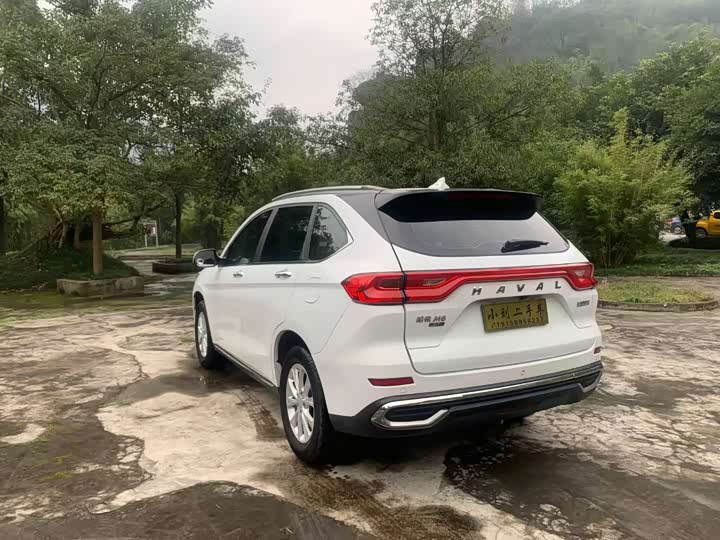 Фото 4 - Haval M6