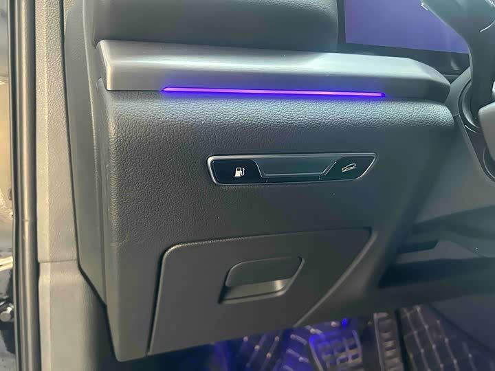 Фото 7 - Hongqi HS7