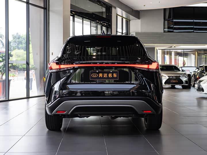 Фото 5 - Lexus RX