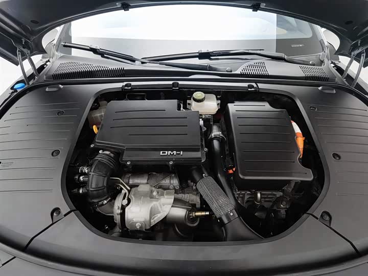 Фото 6 - BYD Han