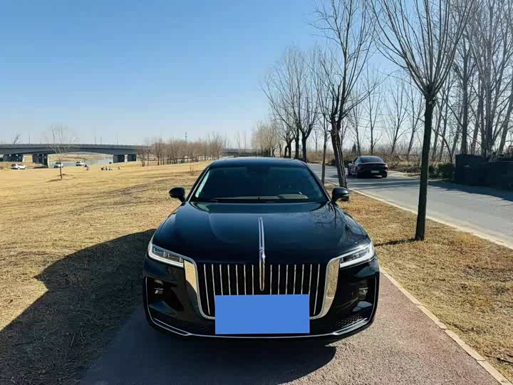 Фото 1 - Hongqi H9