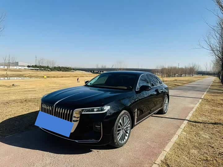 Фото 2 - Hongqi H9