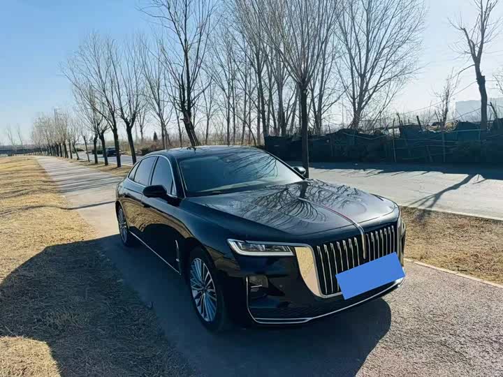 Фото 3 - Hongqi H9