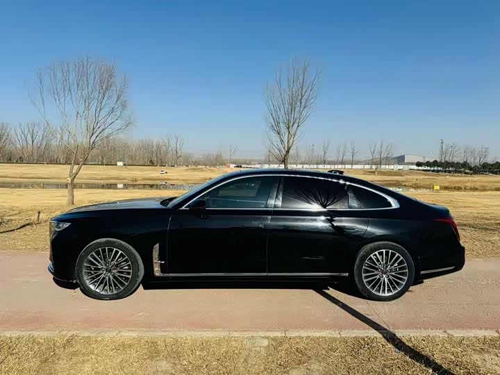 Фото 5 - Hongqi H9