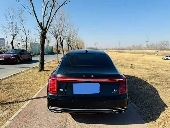 Фото 6 - Hongqi H9