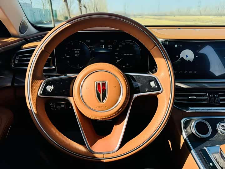 Фото 9 - Hongqi H9