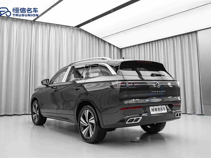 Фото 7 - Volkswagen Tavendor