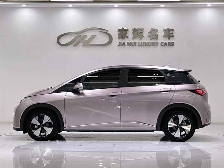 Фото 4 - BYD Dolphin