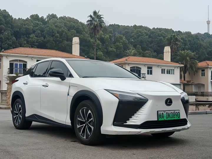 Фото 3 - Lexus RZ