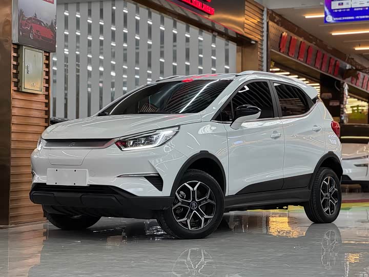 Фото 1 - BYD Yuan Pro