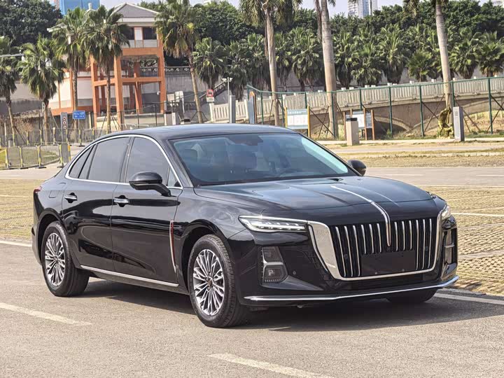 Фото 3 - Hongqi H5