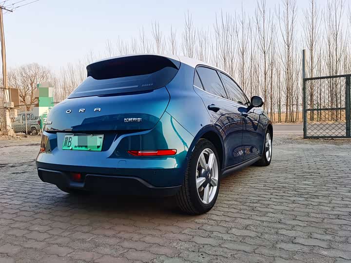 Фото 7 - Ora Good Cat (03)