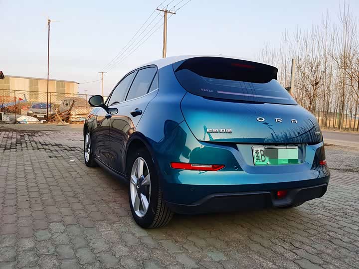 Фото 8 - Ora Good Cat (03)