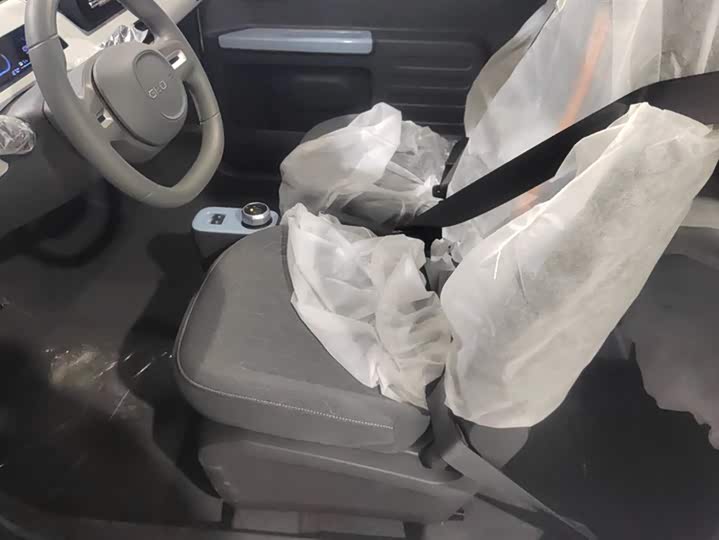 Фото 9 - Geely Galaxy Panda Mini